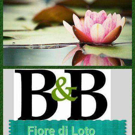 לימטולה Fiore Di Loto מראה חיצוני תמונה